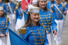 Hammarkullenkarnevalen 260530
