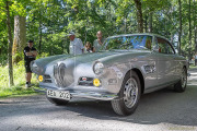 Veteranfordonsträff i Gräfsnäs 260709