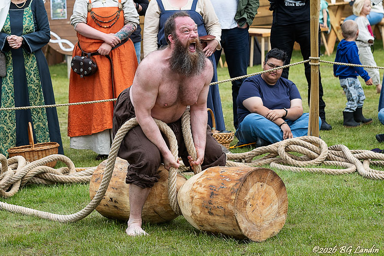 Kraftkarl i Starke Viking Kraftkarl i Starke Viking