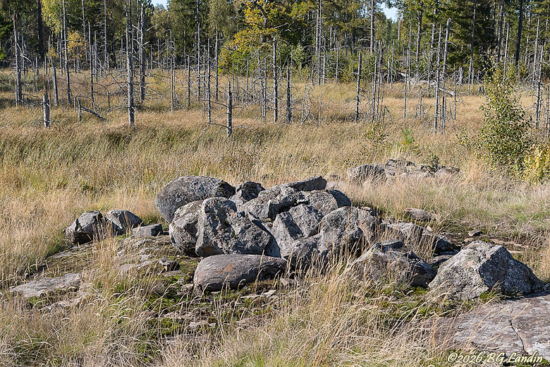 Stenröse vid Jonstorp