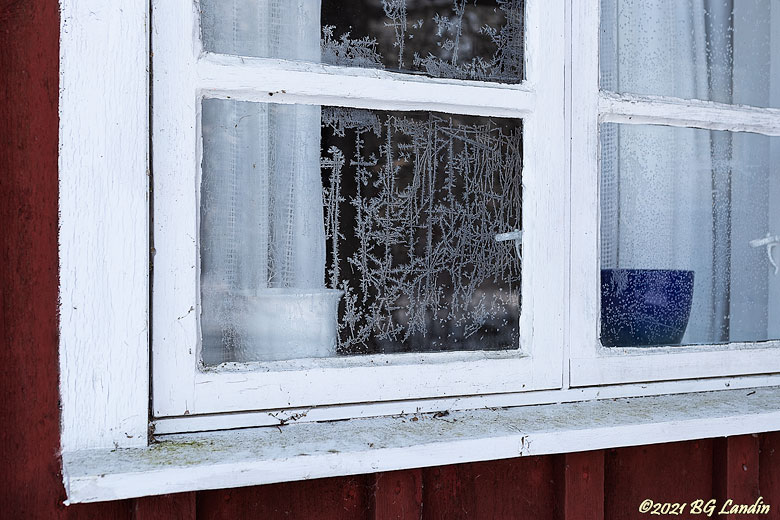 Frostrosor i skolhusets fönster