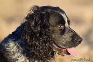 Med intresse i blicken