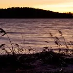 Det blåser så in i vassen Det blåser så in i vassen