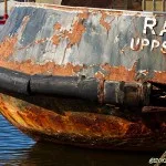 Ran-akter