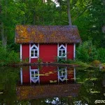 Musteridammsidyll