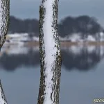Utsikt mot Lövekulle