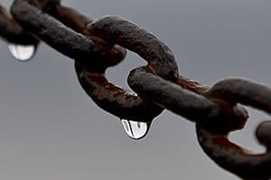 Nya bilder i bildspelet