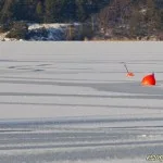 Som ett par jättekörsbär