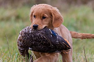 Nya bilder på Keepers son 131110