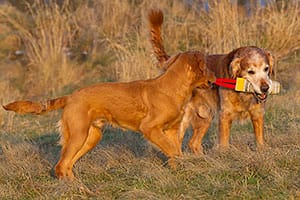 Nya bilder på Keeperson 140211