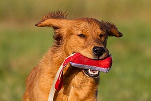 Nya bilder på Keeperson 140428