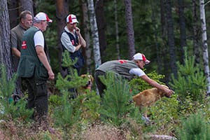 Nordiska mästerskapet för golden 140718