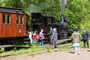 Anten Gräfsnäs Järnväg utfärd 150619