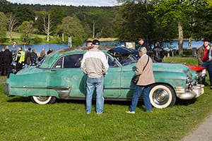 Bilder från bilträffen vid Nääs 150608