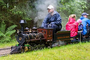 Bilder från Borås MiniatyrÅngloksSällskap 160710