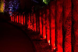 Bilder från Lights in Alingsås 2016